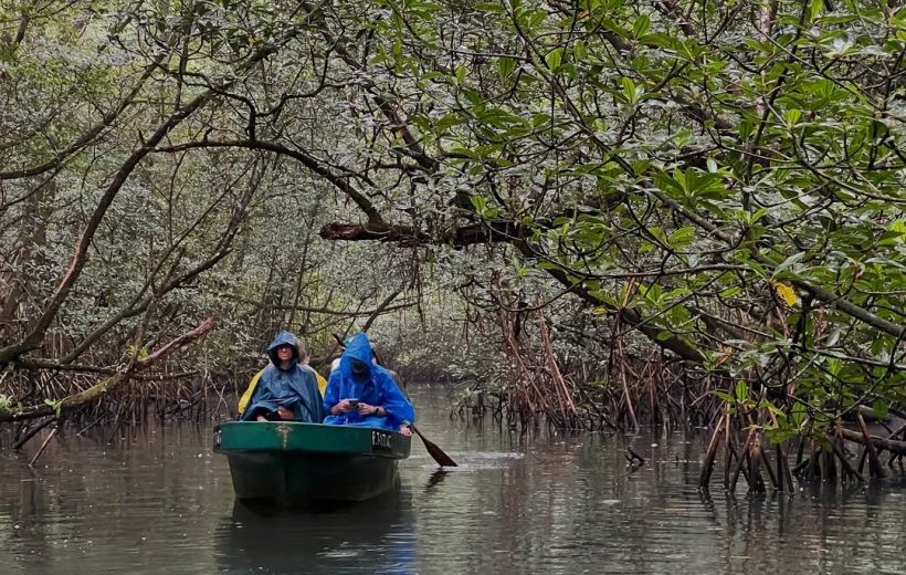 Passeio de Canoa no Mangal Malanza